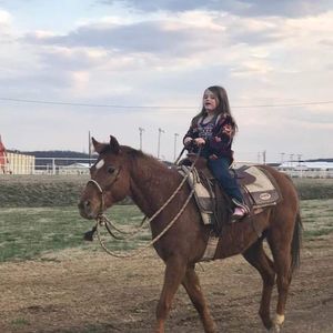 Meet your Posher, Bleau